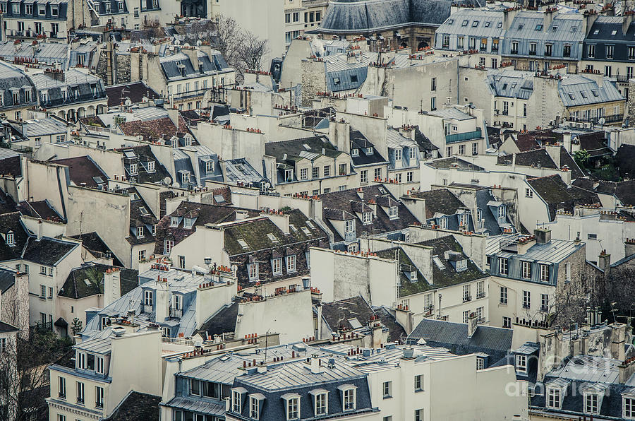 Parisian rooftops  Photograph by Perry Van Munster