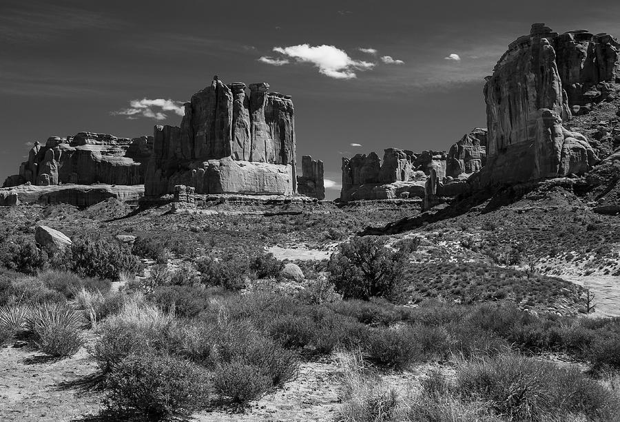 Park Avenue Trail in Black and White by Matthew Irvin Park Avenue Trail in Black and White by Matthew Irvin
