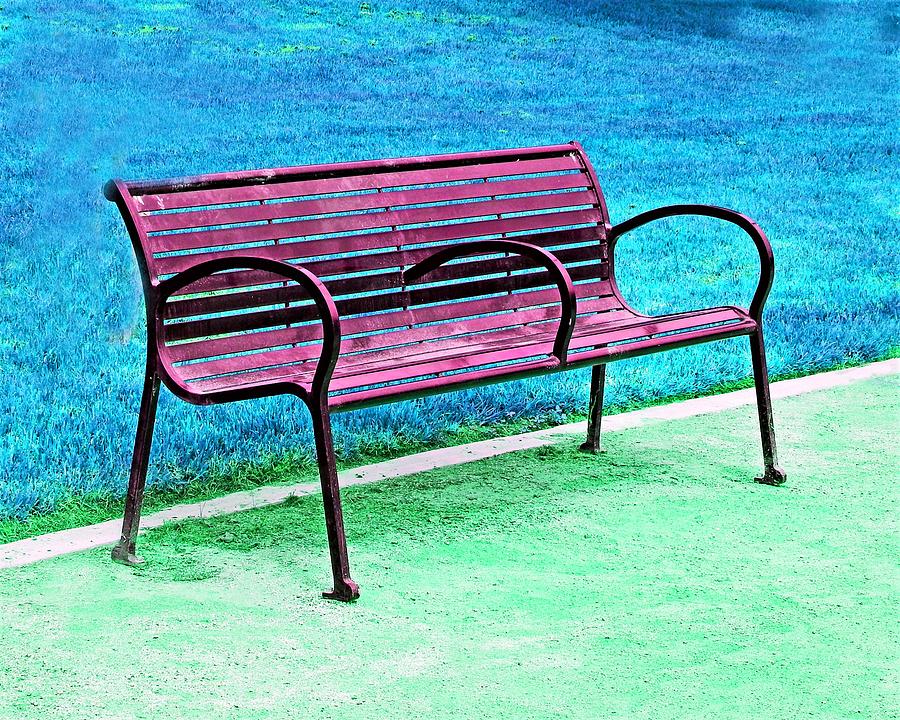 Park Bench Photograph by Andrew Lawrence