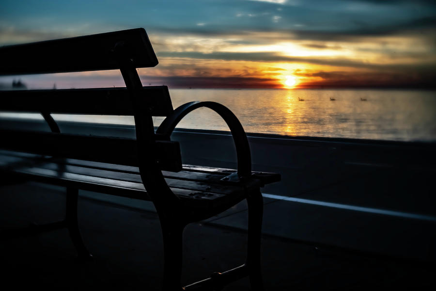 Park bench at sun rise on Lake Michigan Photograph by Sven Brogren