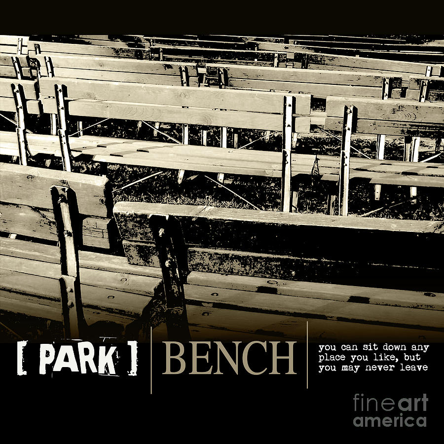 Park Bench Photograph by Phil Perkins
