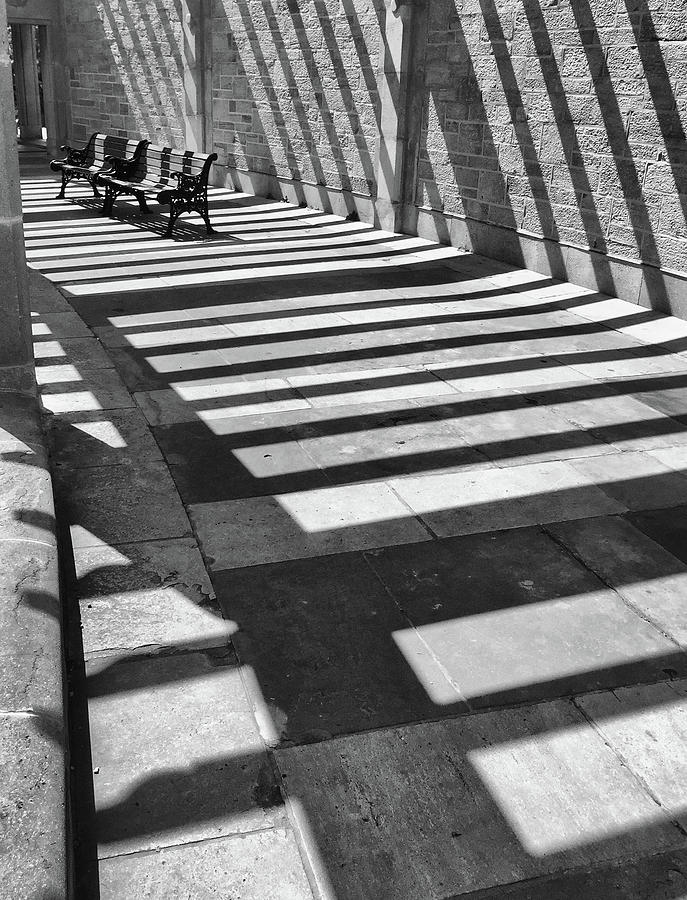 Park Benches Photograph by Stewart Fortune - Fine Art America