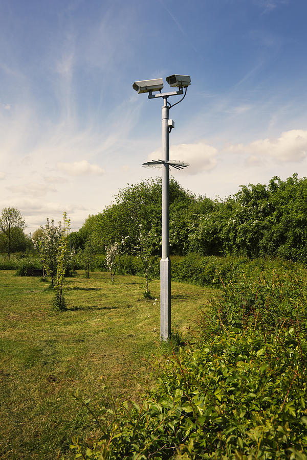 Park CCTV Photograph by Christopher Hope-Fitch