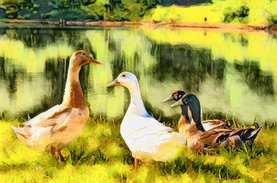 Park Ducks Digital Art
