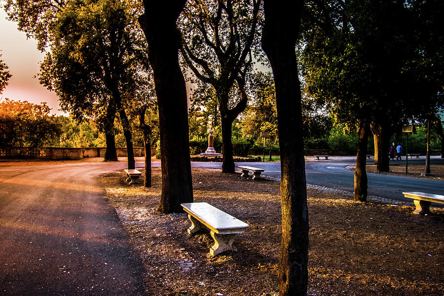 Park in Rome Photograph by Bill Howard