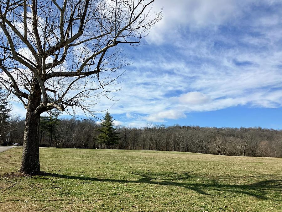 Park In Rural Kentucky Photograph By Stevie Jaeger - Pixels