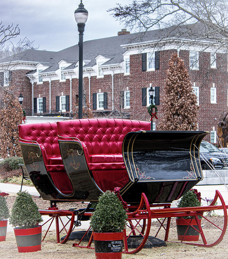 Parked Sleigh Photograph by Rick Nelson