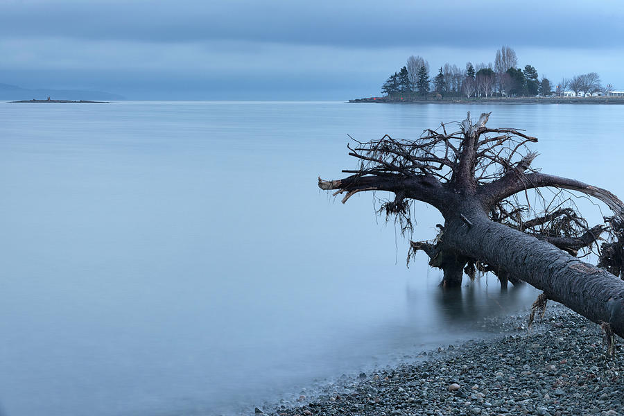 Parksville Bay Blue Hour Photograph by Randy Hall