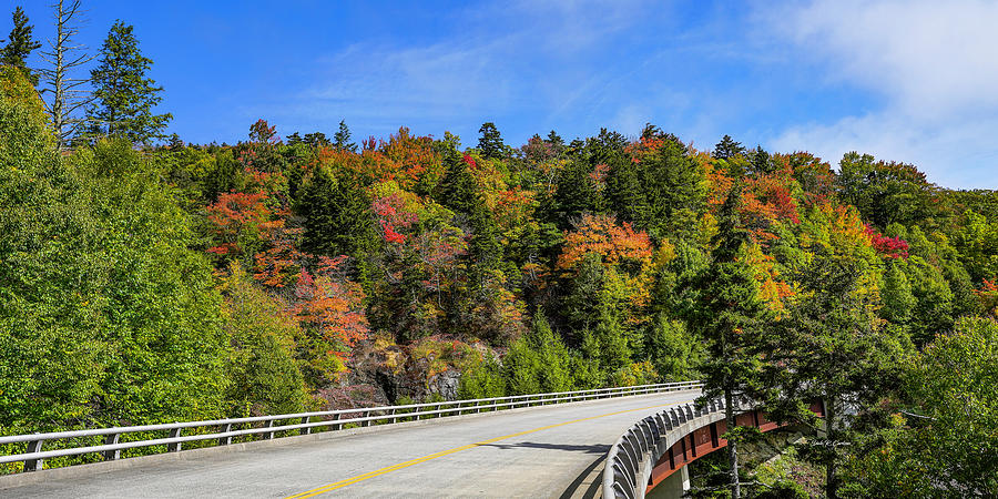 Parkway Autumn Palette Photograph by Dale R Carlson
