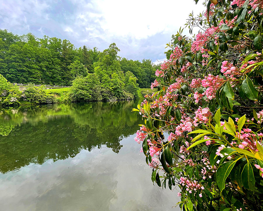 Parkway Pond in Pink Photograph by Lee Darnell