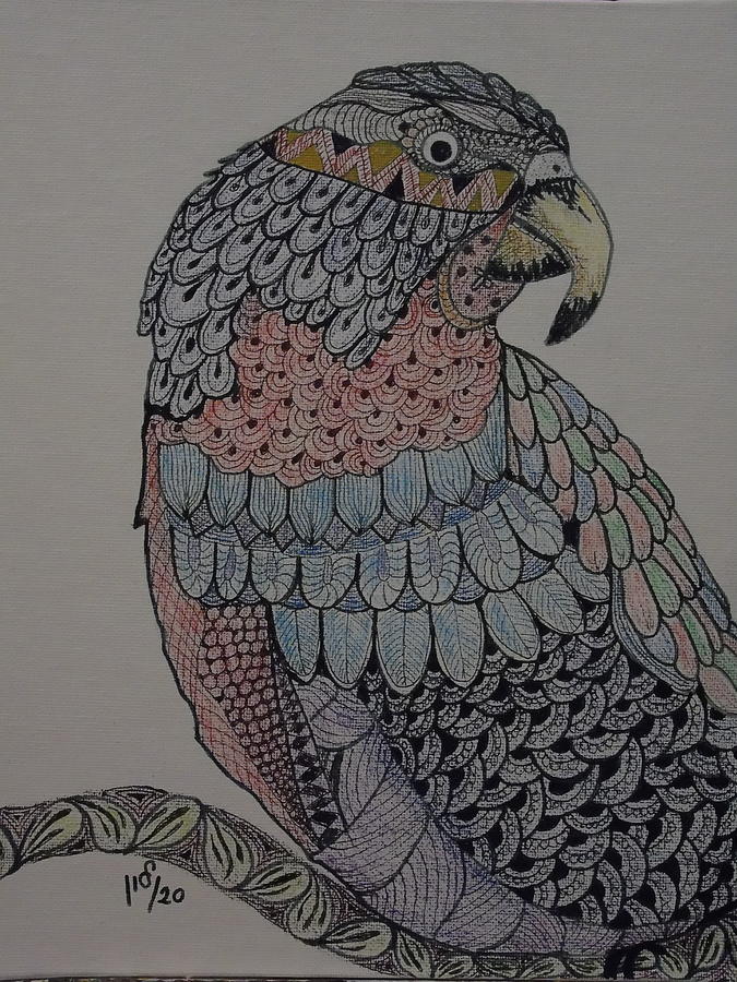 Parot4 Drawing by Maria Woithofer