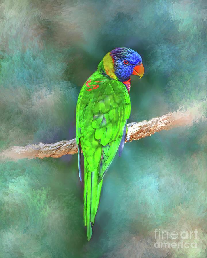 Parrot Bird 80 Mixed Media by Lucie Dumas
