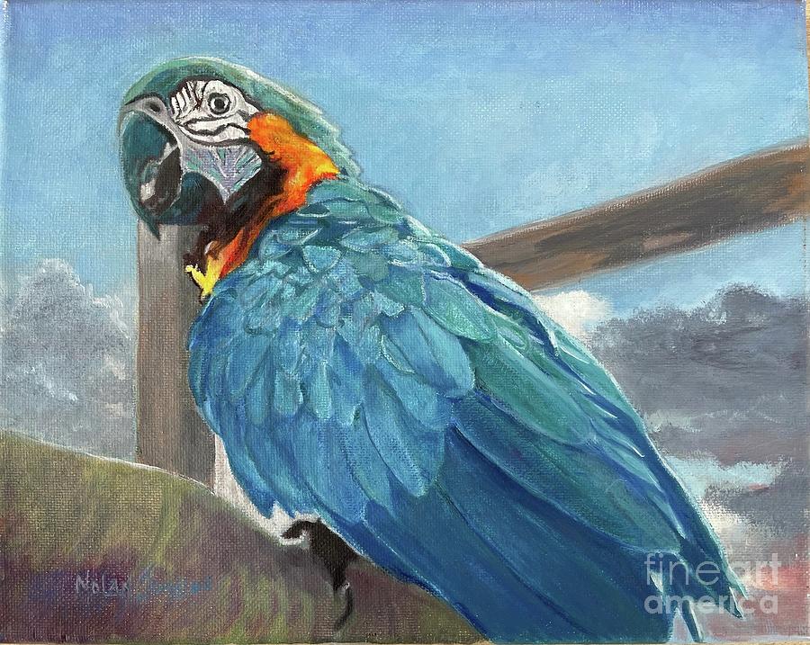 Parrot Blue Gray  Sky Painting by Marilyn Nolan-Johnson
