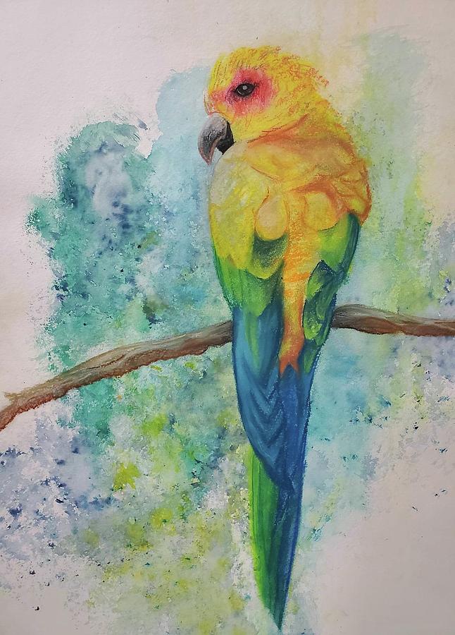 Parrot Drawing by Brittany Bell - Fine Art America