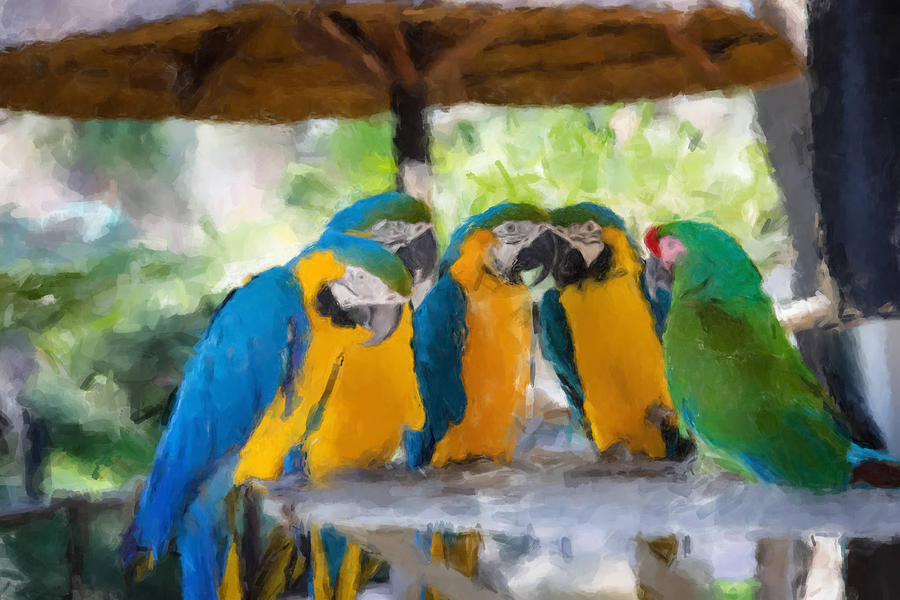 Parrot Conference Painting by Gary Arnold