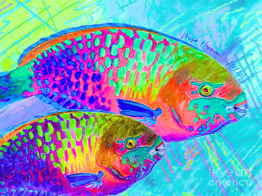 Parrot Fish Patrol Drawing by Misa Harman - Fine Art America