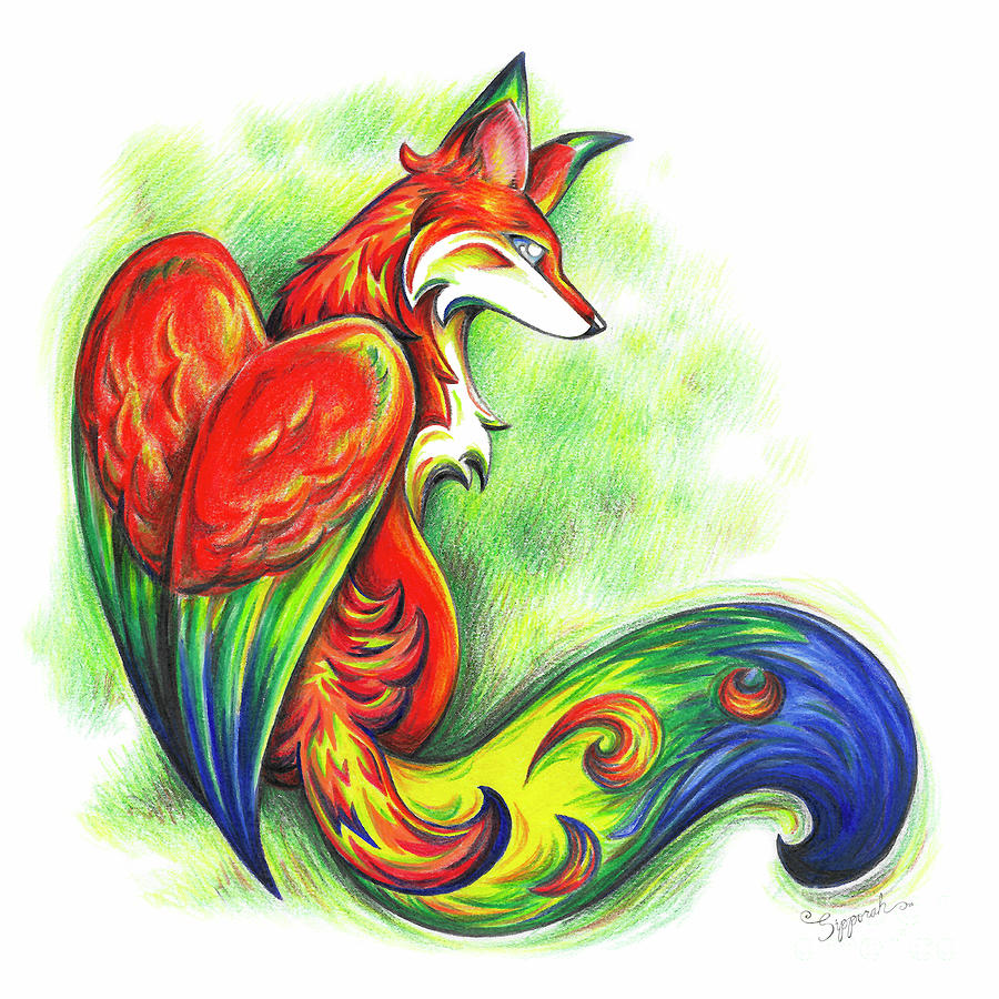 Parrot Fox Drawing by Sipporah Art and Illustration