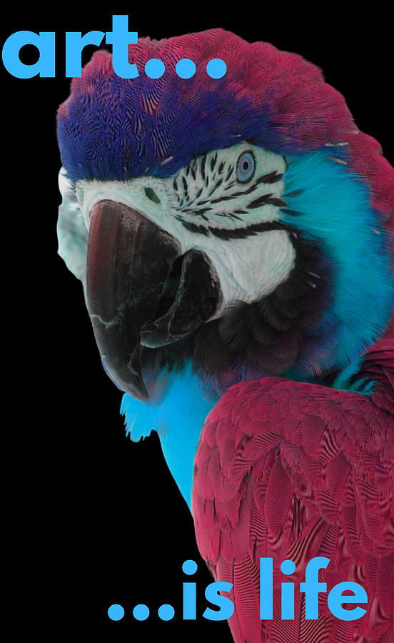 Parrot George Black Digital Art