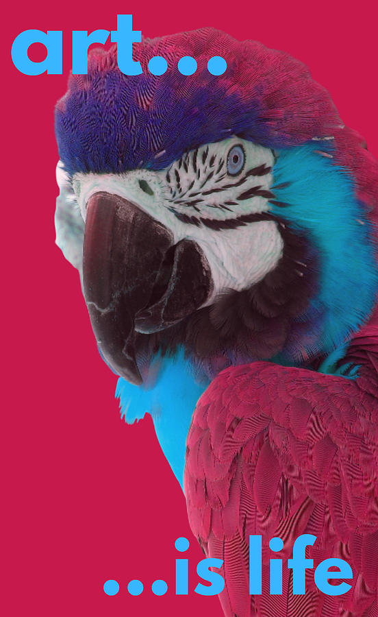 Parrot George Red Digital Art