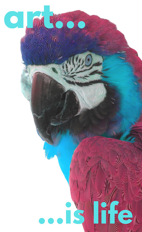 Parrot George White Digital Art