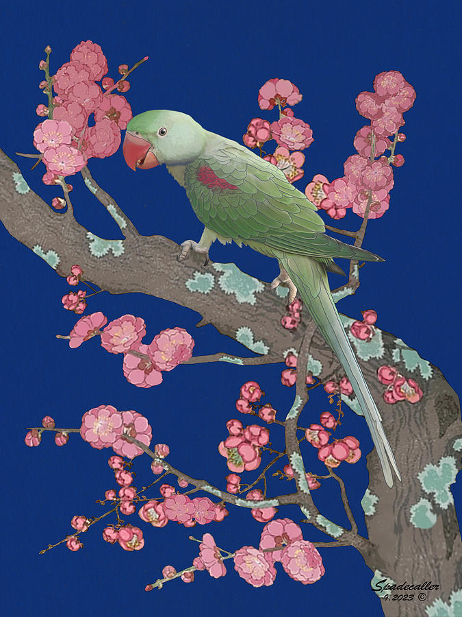 Parrot in Plum Tree Digital Art by Spadecaller