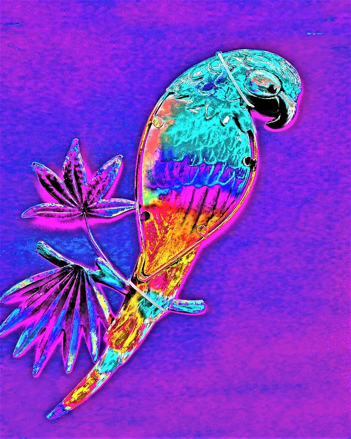 Parrot In Purple Photograph by Andrew Lawrence