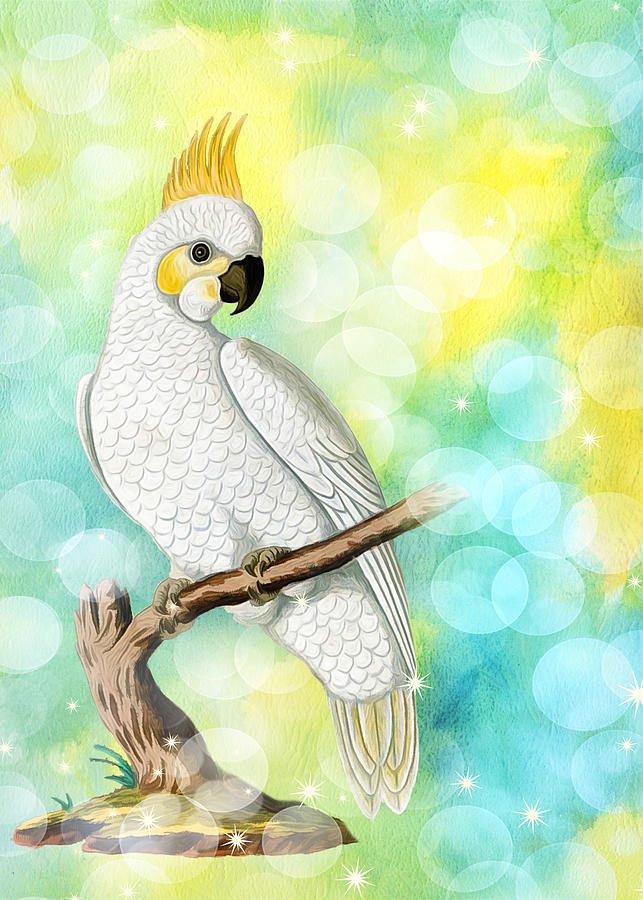 Parrot Lover Cockatoo and Bokeh Digital Art by Doreen Erhardt