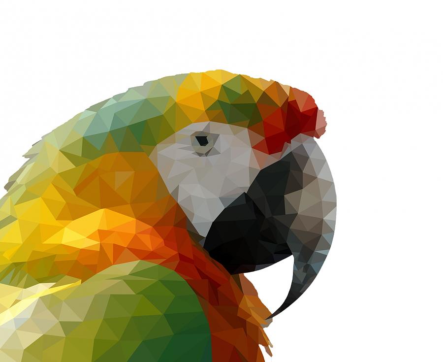 Parrot, Macaw Low Poly Photograph by Les Classics - Fine Art America