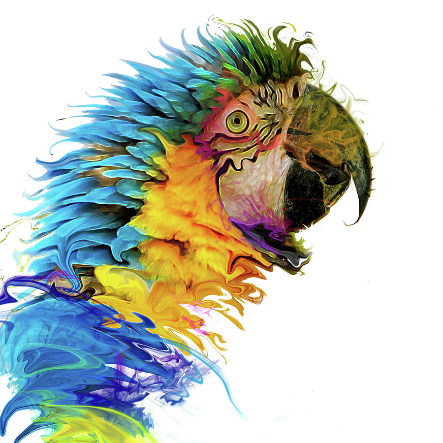Parrot Painting - Parrot Paint by Karen Smith