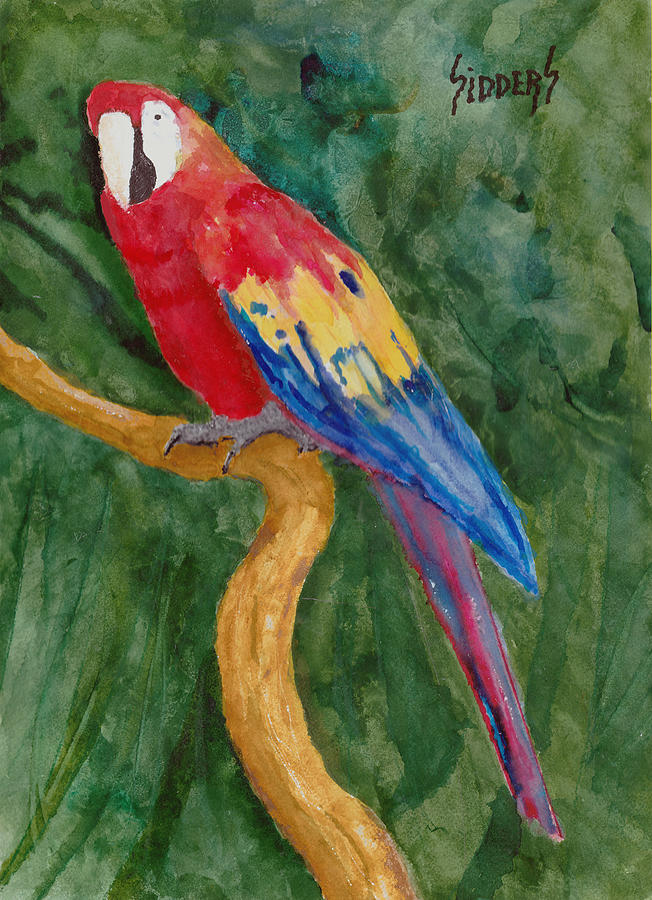 Parrot Painting by Sam Sidders
