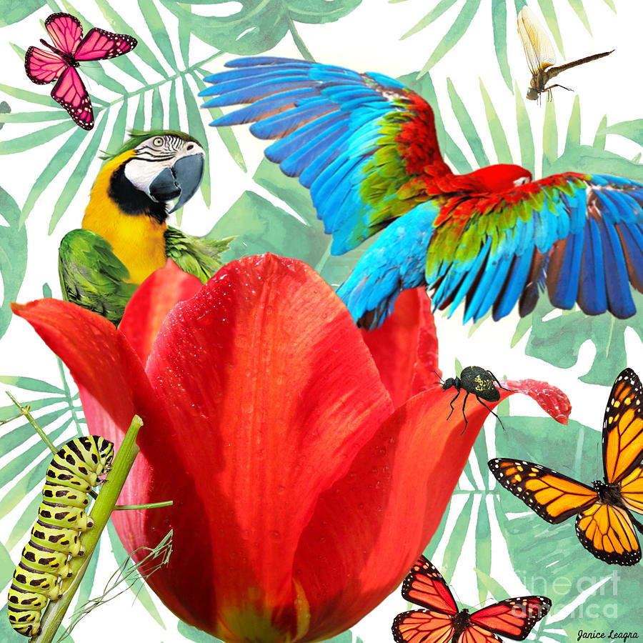 Parrot Surprise Digital Art by Janice Leagra