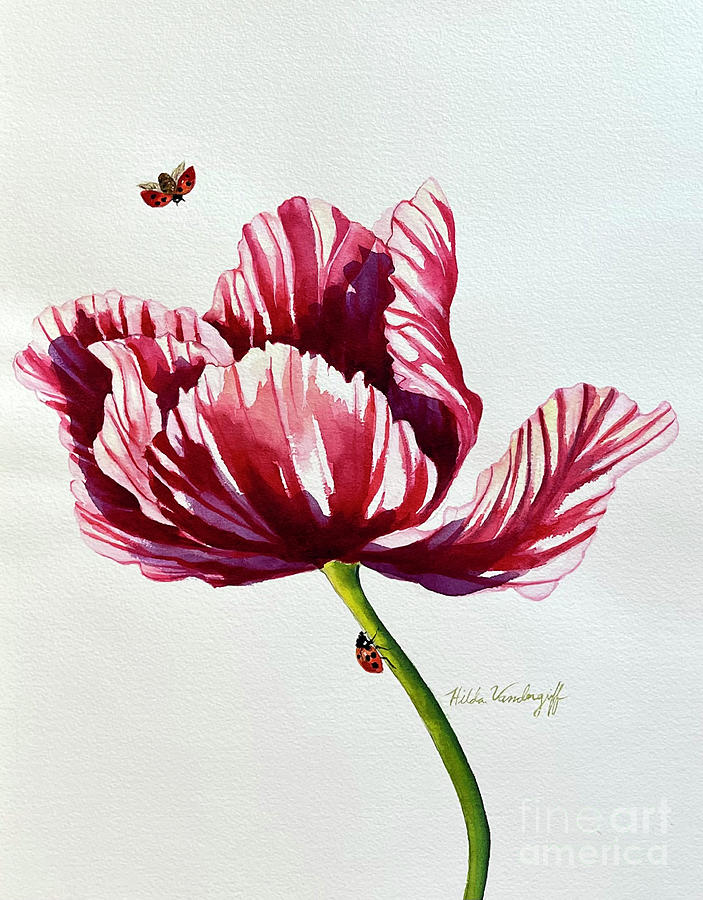 Parrot Tulip Painting by Hilda Vandergriff