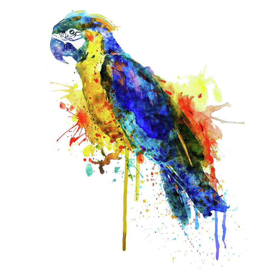 Parrot Painting - Parrot Watercolor  by Marian Voicu