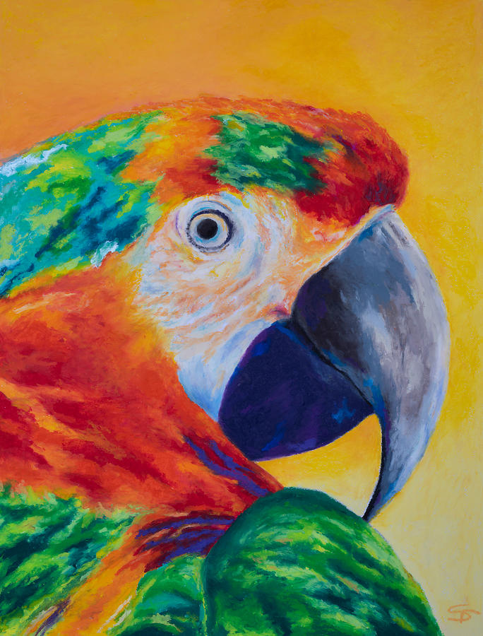 Parrothead Painting by Stephen Anderson