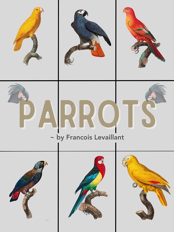Parrots by Francois Levaillant Mixed Media by Bob Pardue