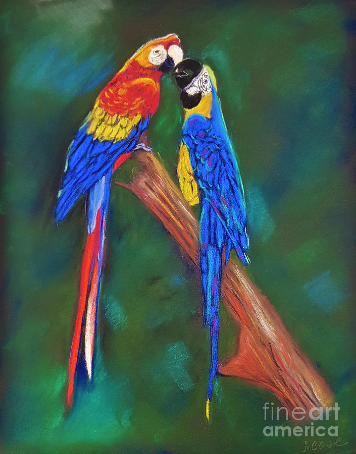 Parrots In Pastel Photograph