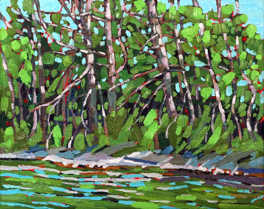 Parry Sound Forested Shore Painting by Phil Chadwick