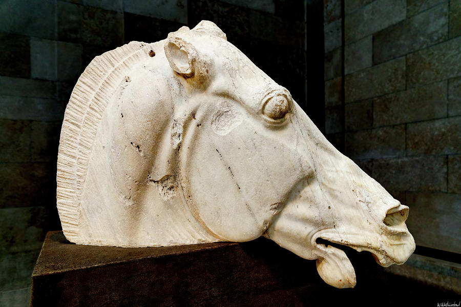 Parthenon Horse Head Photograph by Weston Westmoreland