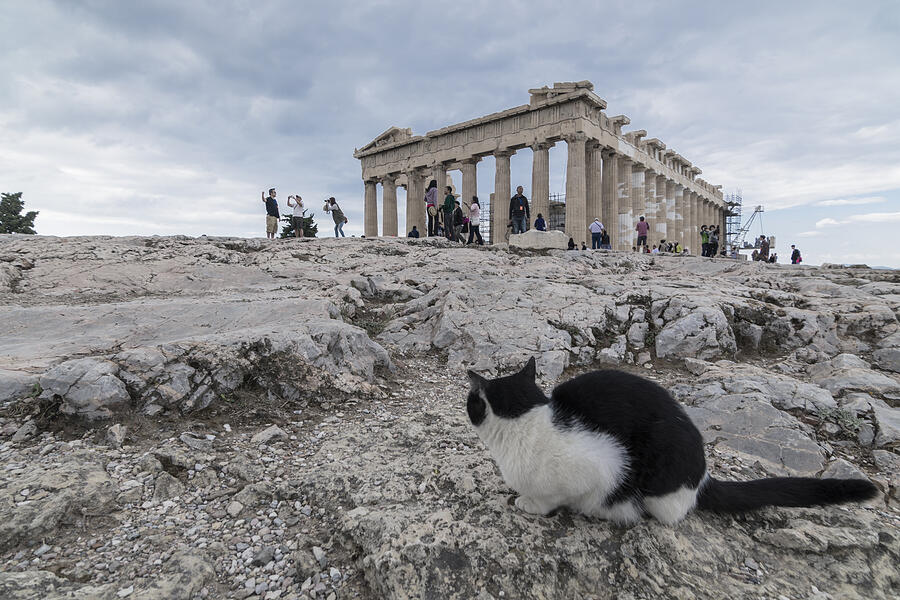 Parthenon Photograph by Spiros Gioldasis