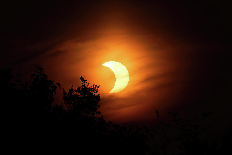 Partial Sunrise Eclipse  Photograph by Martina Abreu