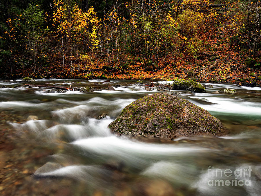 Fall Photograph - Parting the Waters by Michael Dawson