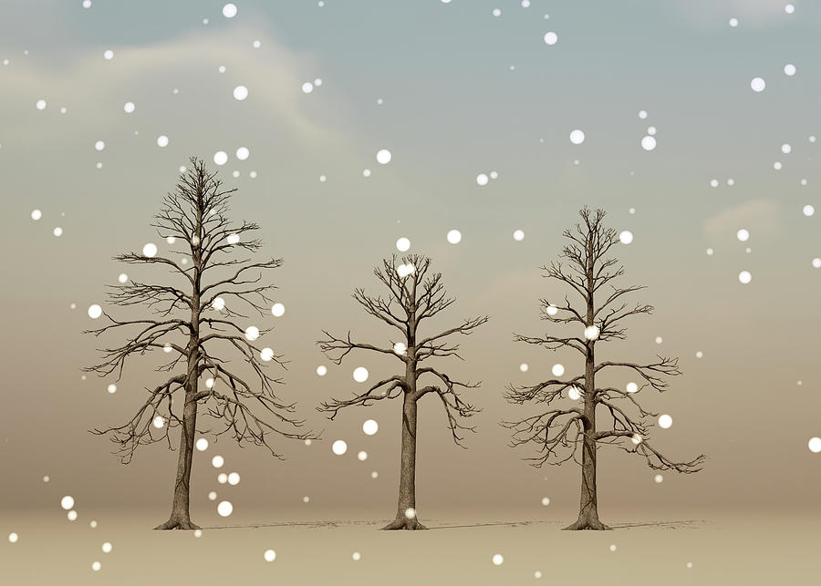 Tree Digital Art - Partly Cloudy Chance Of Snow by Bob Orsillo