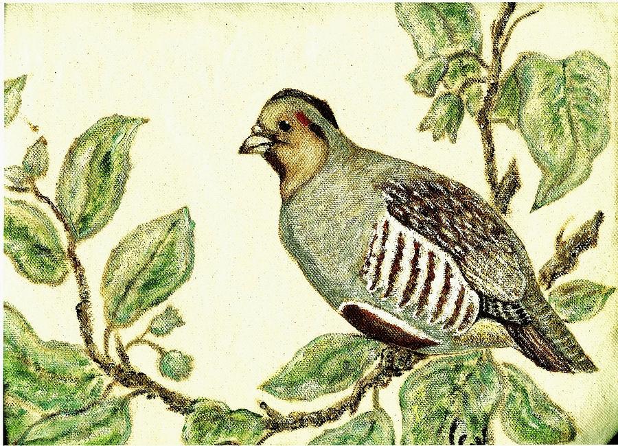 PARTRIDGE in a Pear Tree Painting by VLee Watson