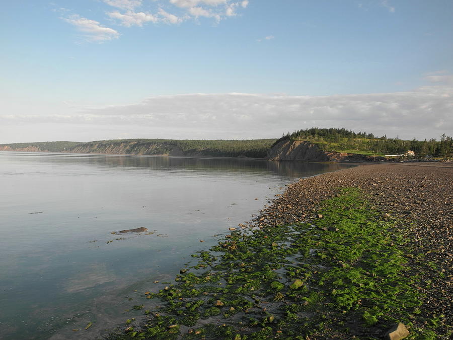 Partridge Island Beaches Photograph by Alan Norsworthy