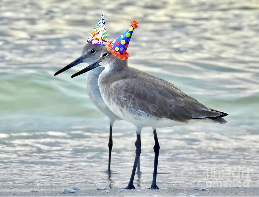 Party Hat Sandpipers Photograph by Beth Myer Photography