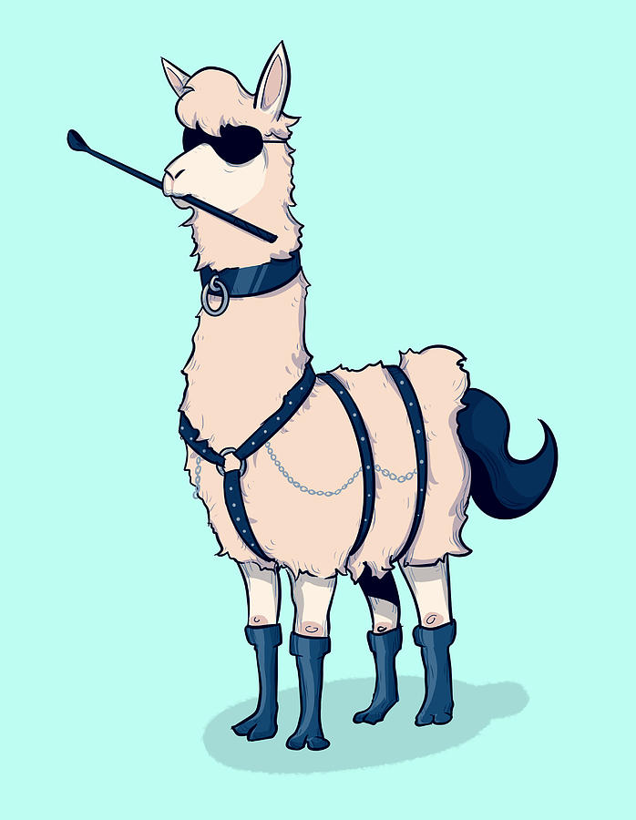 Party Llama Drawing
