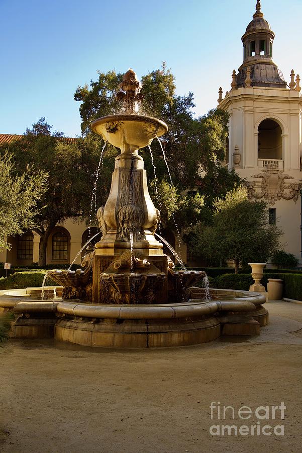 Pasadena City Hall Courtyard Photograph