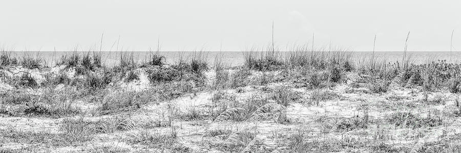 Pass-a-Grille Beach St. Pete Beach Florida Black and White Panor Photograph by Paul Velgos