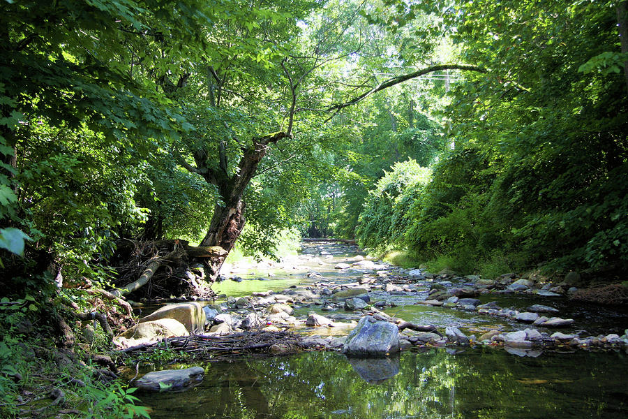 Passage Creek In Summer Photograph by Daniel Beard - Fine Art America