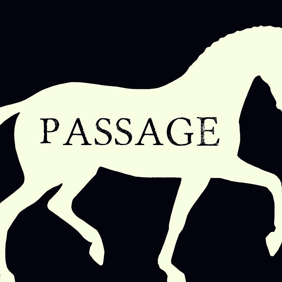 Passage Negative Squared Photograph by Dressage Design